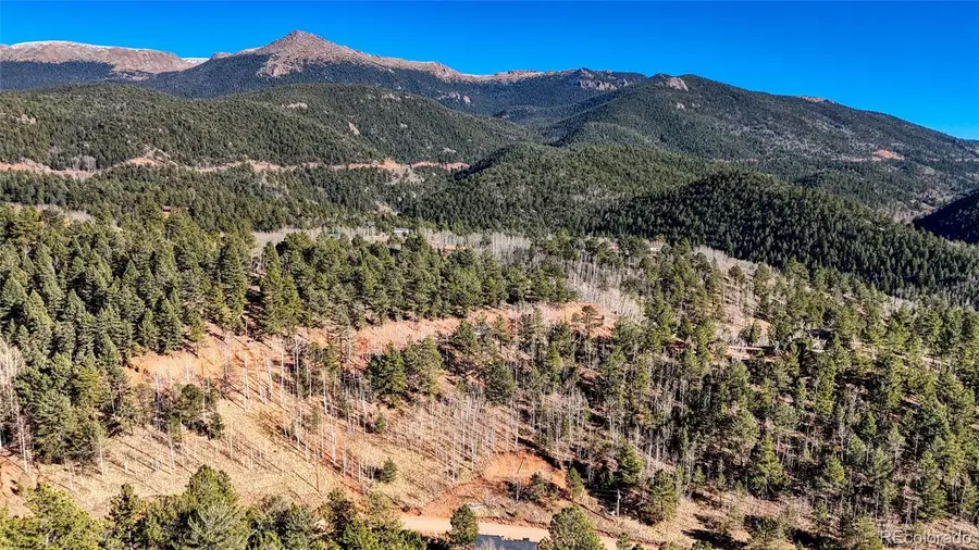 80 Beaver Pond Road, Divide, CO 80814 - Image #2