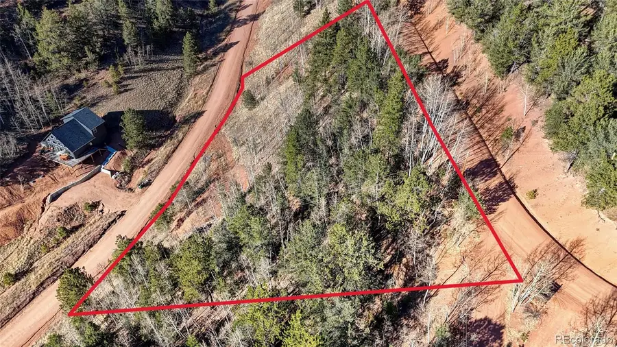 80 Beaver Pond Road, Divide, CO 80814 - Image #3