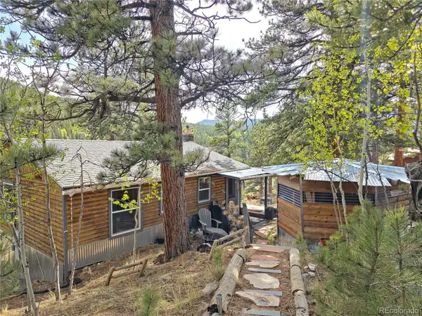 226 Hall Road, Bailey, CO 80421