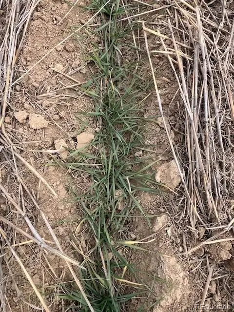 Tbd E 112th Avenue, Bennett, CO 80102 - Image #3