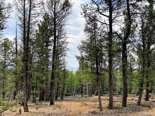 1789 Bellows Road, Hartsel, CO 80449