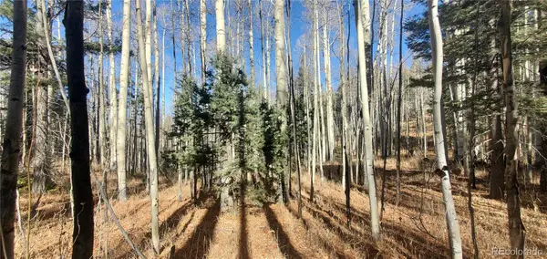 Lot 6060 Forbes Road, San Luis, CO 81152