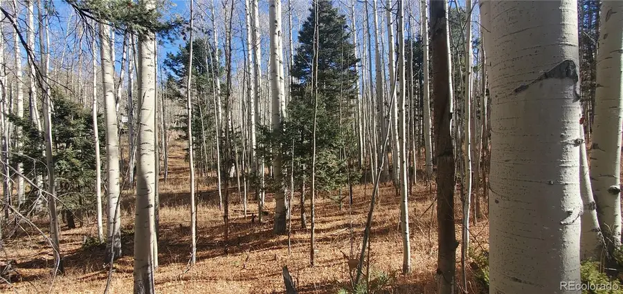 Lot 6060 Forbes Road, San Luis, CO 81152 - Image #2