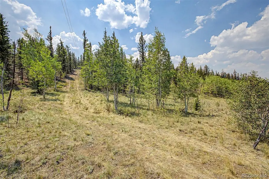 360 Palomino Drive, Jefferson, CO 80456 - #3