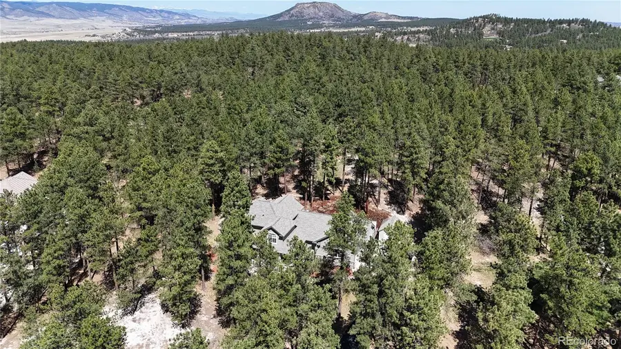 1767 Cinnamon Road, Larkspur, CO 80118 - #2