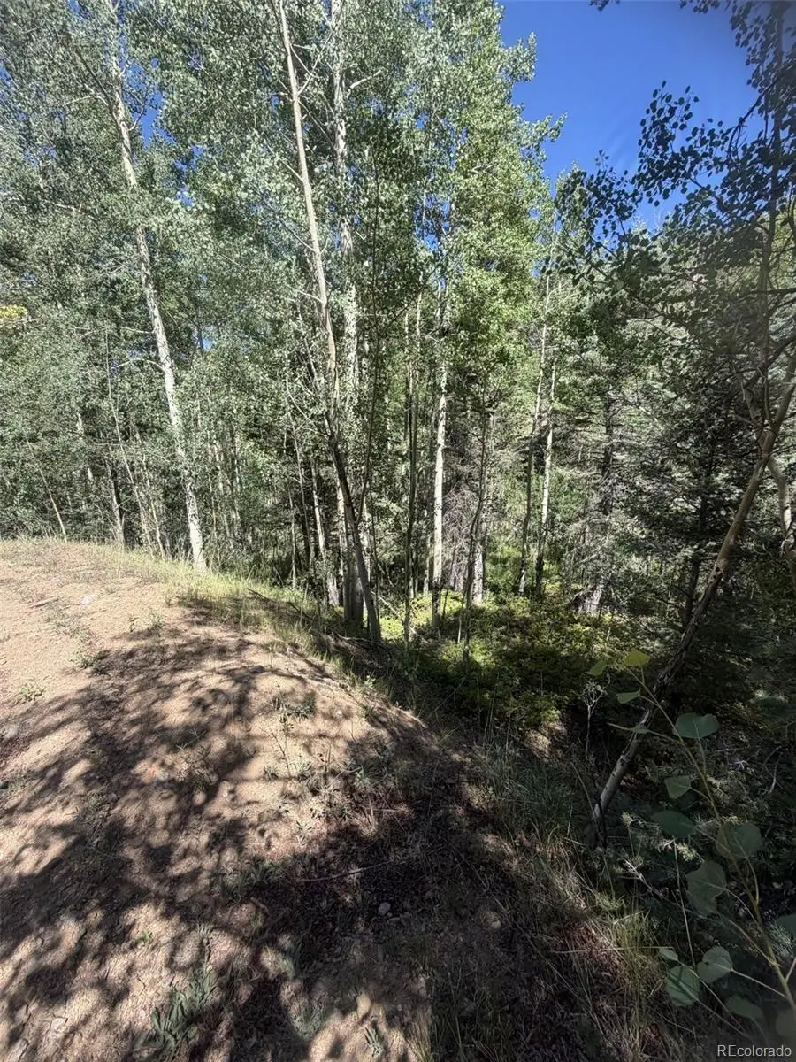 Kawasaki, San Luis, CO 81152 - #2