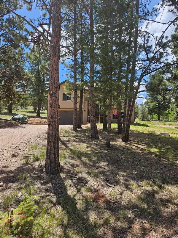 24 Big Horn Circle Circle, Florissant, CO 80816