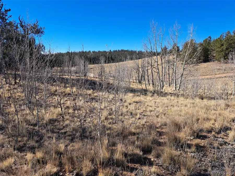 209 Crooked Rock Path, Como, CO 80432 - Image #2