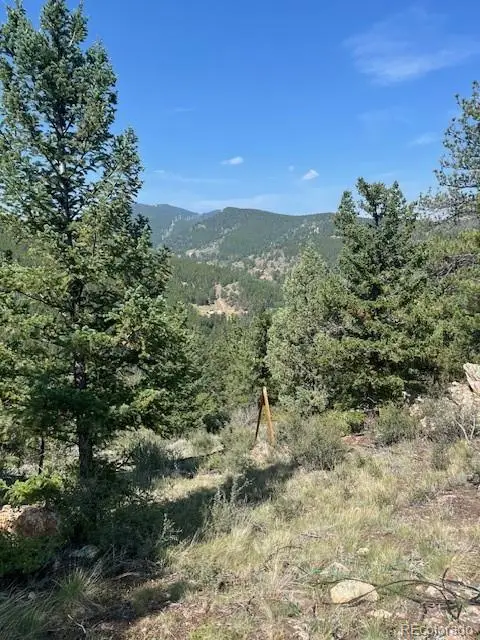 000 Raven Drive, Idaho Springs, CO 80452 - #3