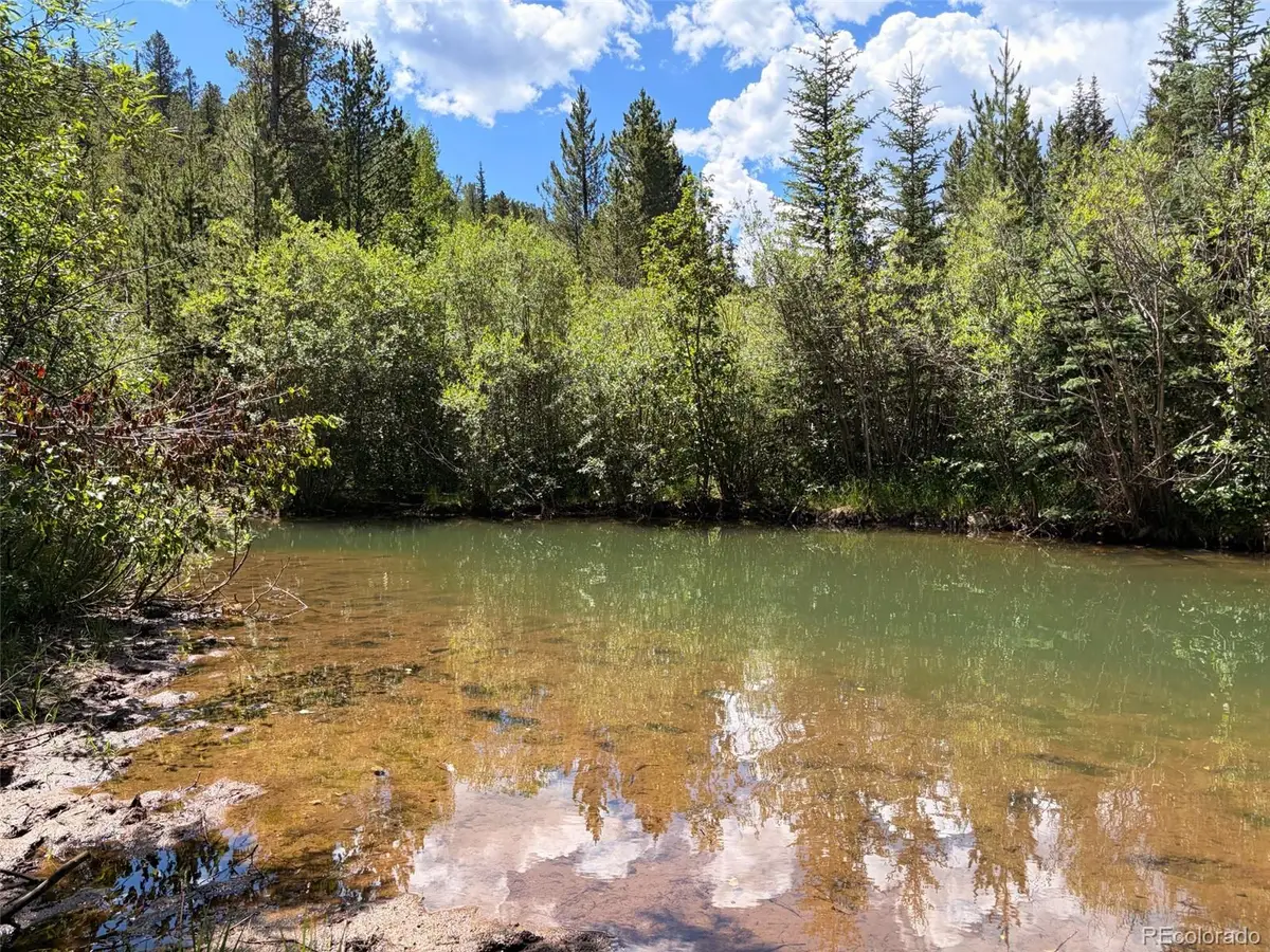 Fool's Luck, Black Hawk, CO 80422 - #1