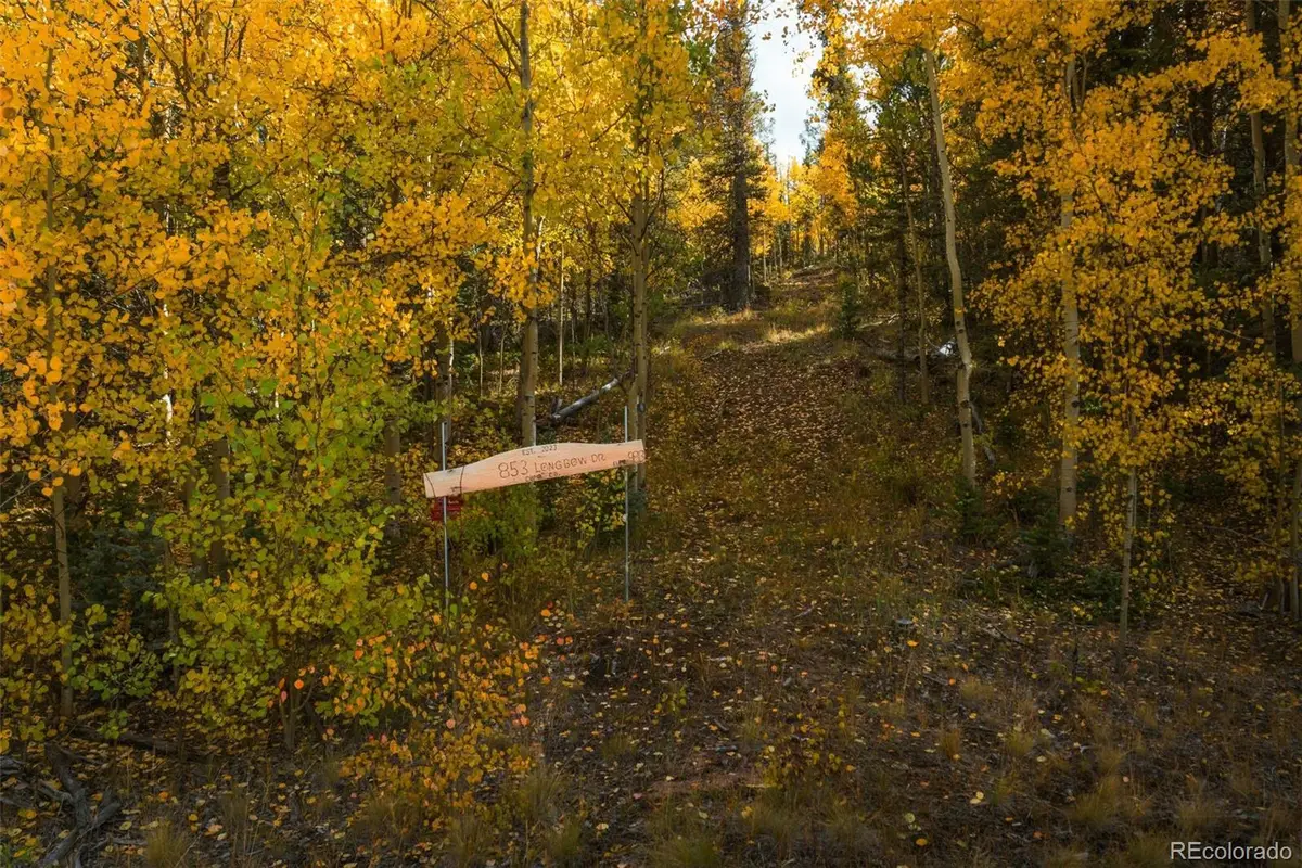 853 W Longbow Drive, Como, CO 80432 - #1
