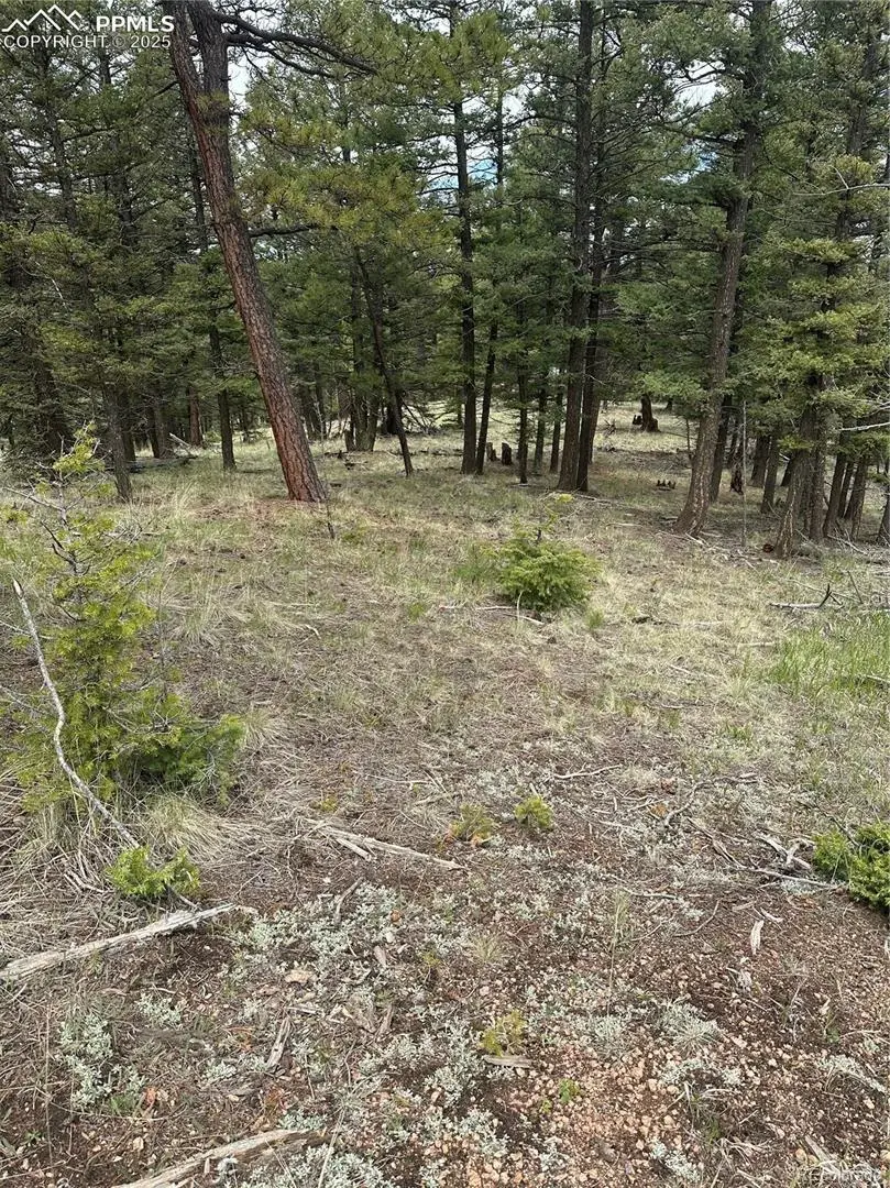 1120/1086 N Mountain Estates Road, Florissant, CO 80816 - #3