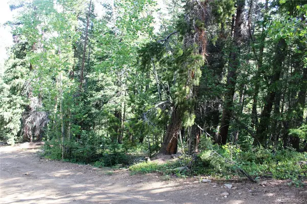 Lot 31 Sunflower Road, Black Hawk, CO 80422