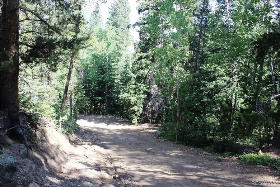 Lot 31 Sunflower Road, Black Hawk, CO 80422 - #2