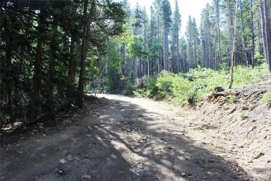 Lot 31 Sunflower Road, Black Hawk, CO 80422 - #3