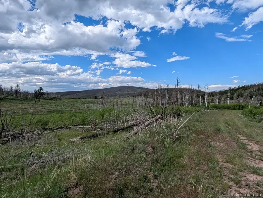 1692 Trimm Place, Fort Garland, CO 81133 - #2