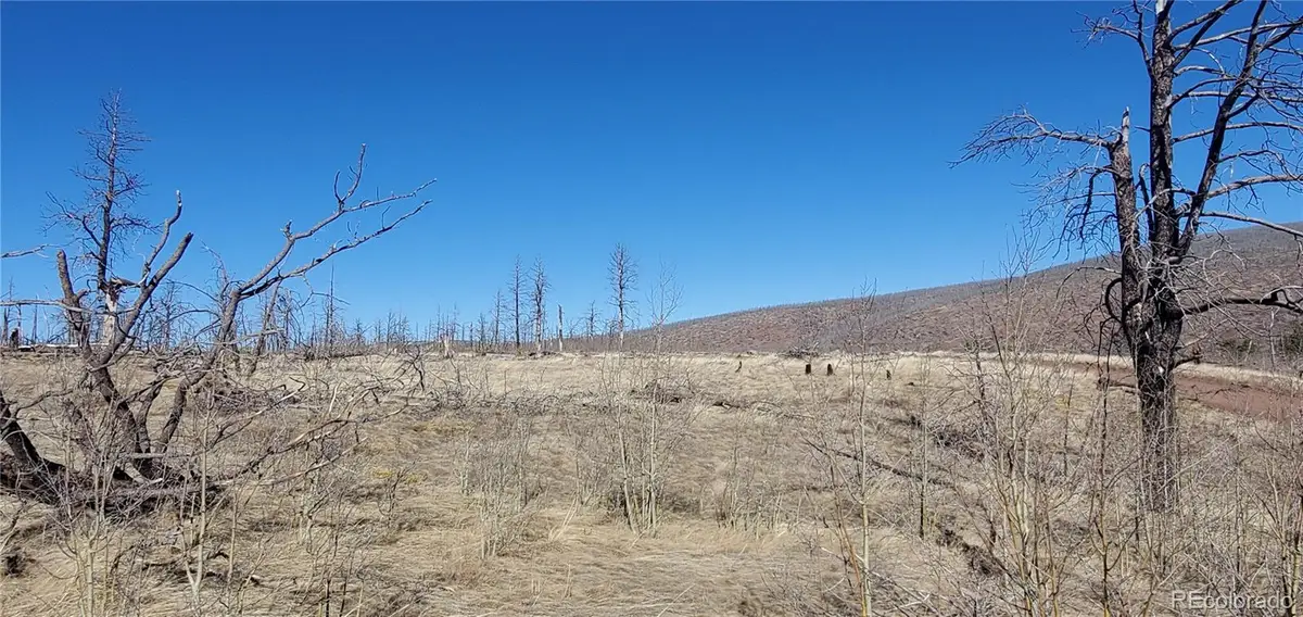 Lot 1566 Cary Lane, Fort Garland, CO 81133 - Image #1