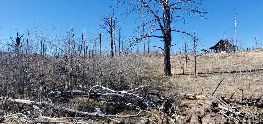 Lot 1566 Cary Lane, Fort Garland, CO 81133 - Image #2