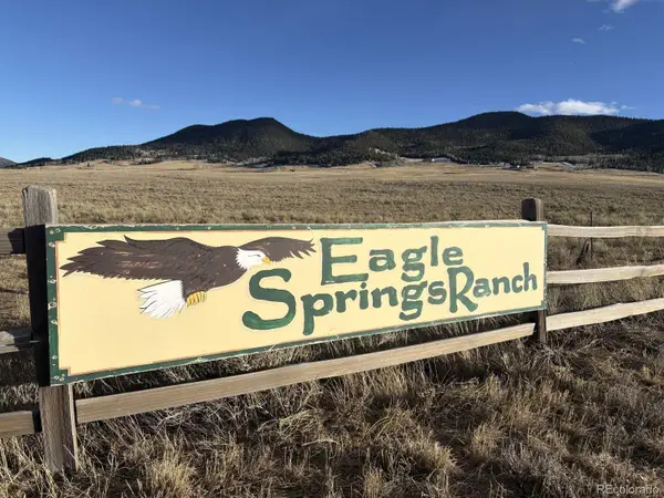Lot 29 Eagle Springs Road, Westcliffe, CO 81252