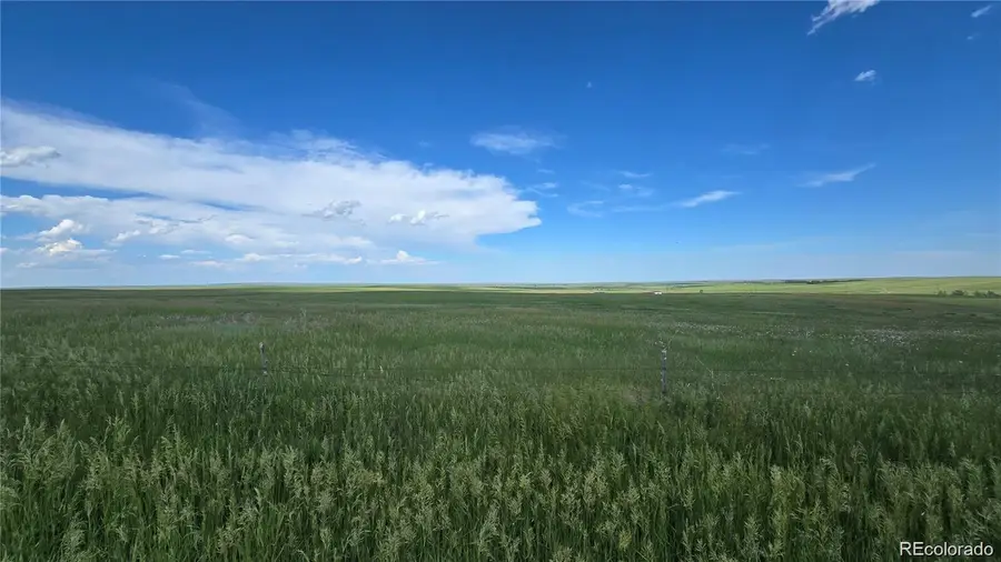 29130 County Road 153, Agate, CO 80101 - #2