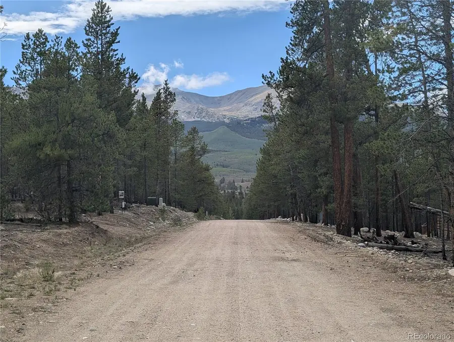 663 Spruce Drive, Twin Lakes, CO 80461 - #2