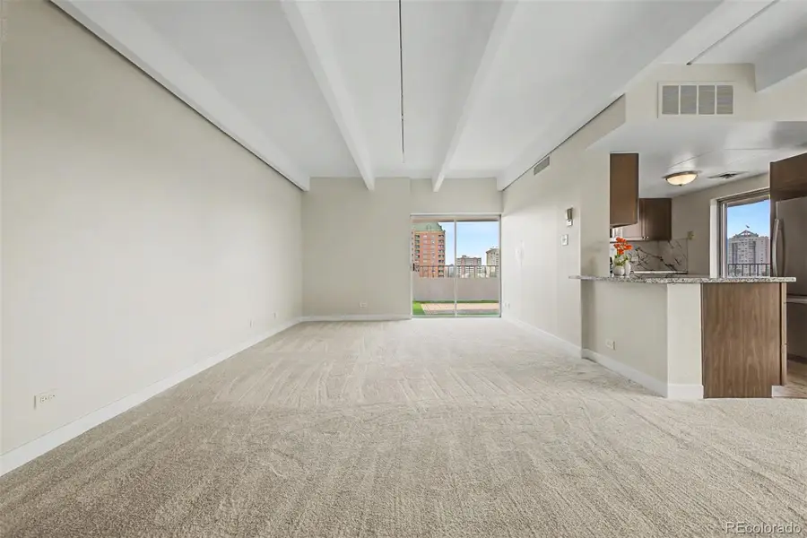 130 N Pearl Street #1103, Denver, CO 80203 - #2