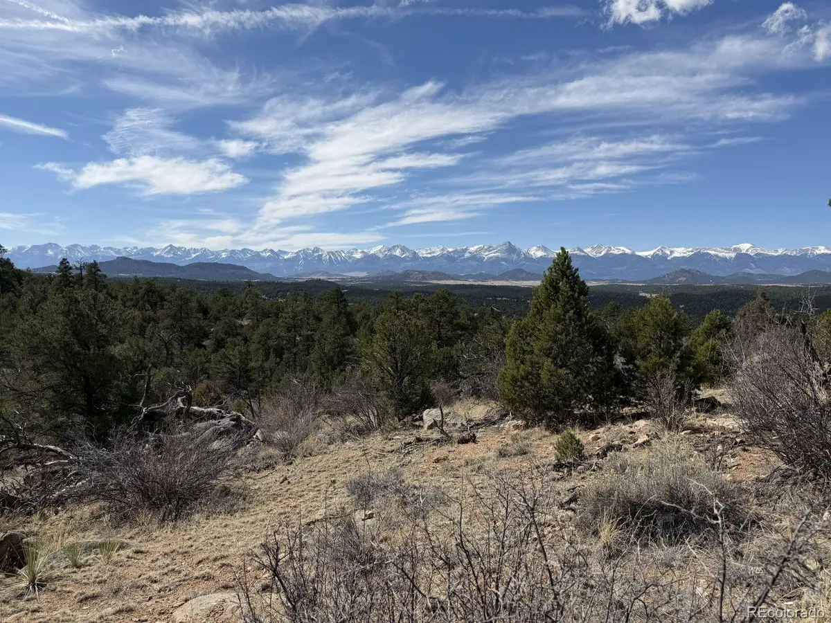 000 Redtail Trail, Texas Creek, CO 81223 - #1