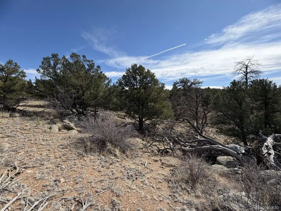 000 Redtail Trail, Texas Creek, CO 81223 - #3