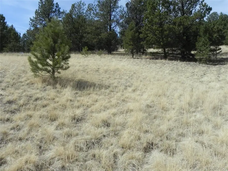 1058 Monarch Drive, Cripple Creek, CO 80813 - #2