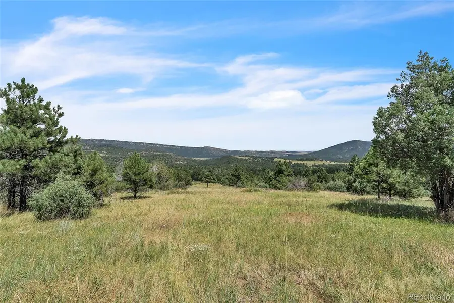 Beulah Highlands Road, Beulah, CO 81023 - #2