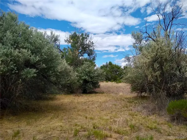 0 Lonesome Whistle Road, Rye, CO 81069