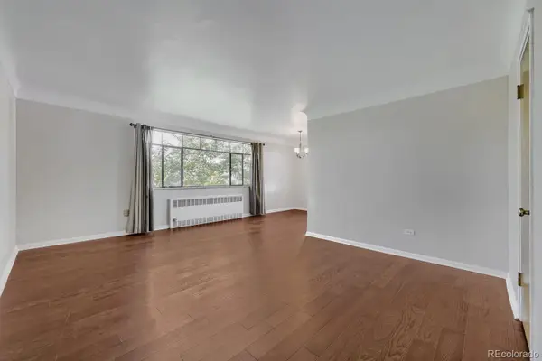 1175 N Emerson Street #312, Denver, CO 80218