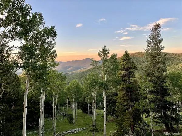 3665 Beaver Brook Canyon Road, Evergreen, CO 80439