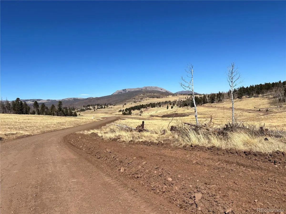00 Forbes Park Rd., Fort Garland, CO 81133 - #1