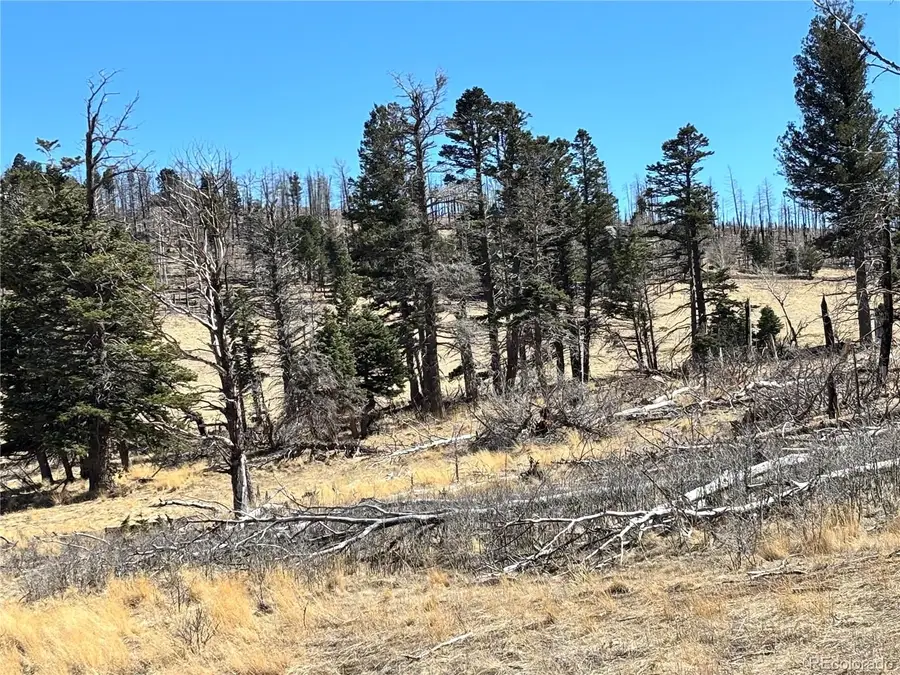 00 Forbes Park Rd., Fort Garland, CO 81133 - #3