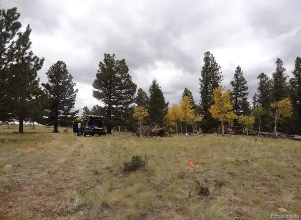 3826 Singletree Road, Hartsel, CO 80449