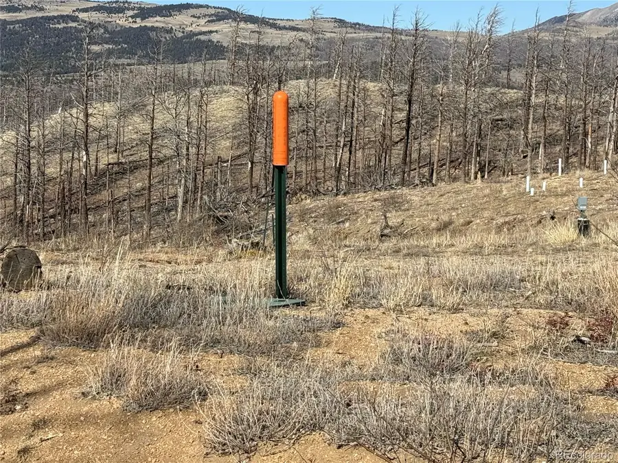 Lot 385 Soubry Place, Fort Garland, CO 81133 - #2