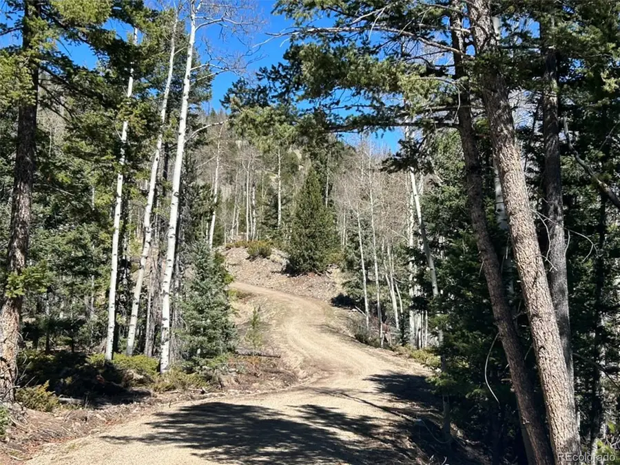 13 Bonanza Road, Villa Grove, CO 81155 - #2
