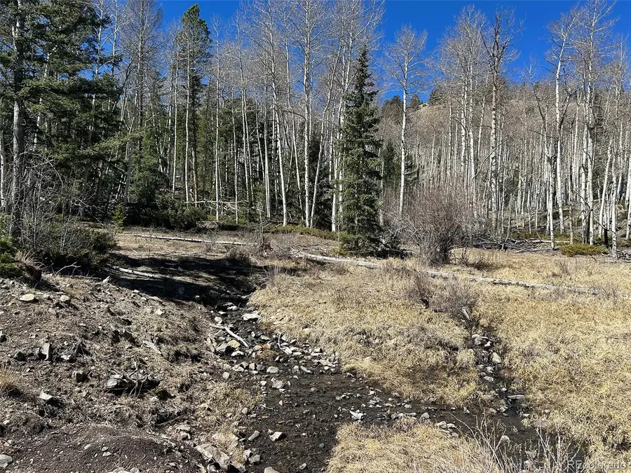 13 Bonanza Road, Villa Grove, CO 81155 - #3