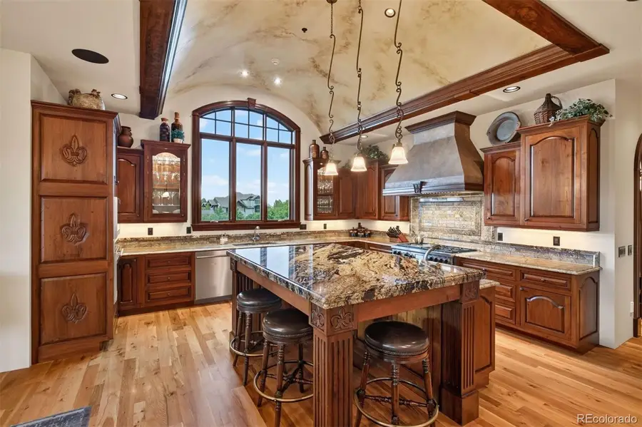 1125 Northwood Court, Castle Rock, CO 80108 - #3