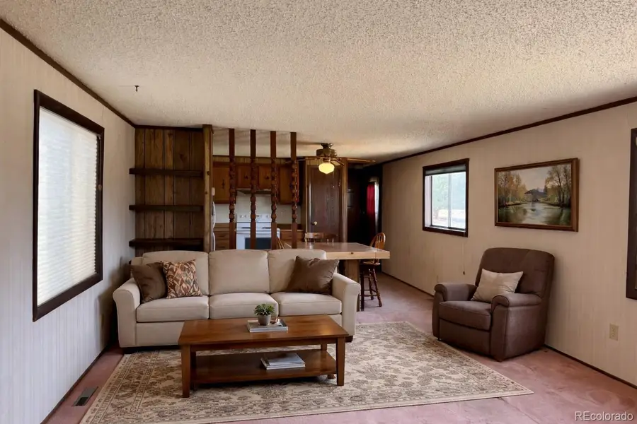 29600 County Road 353, Buena Vista, CO 81211 - #3