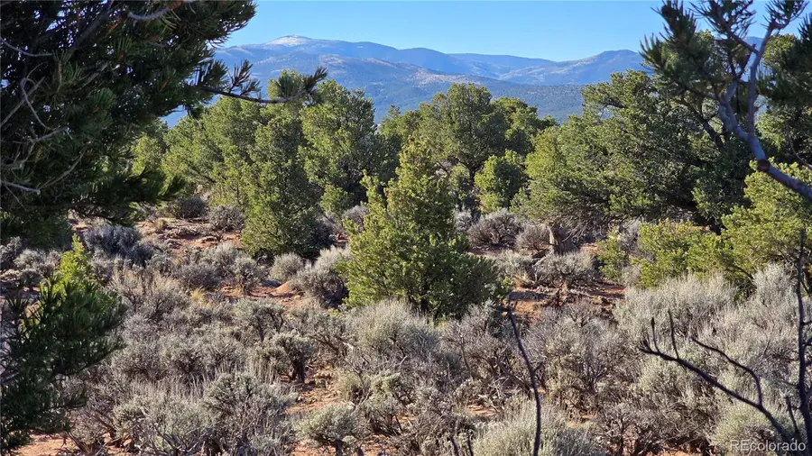 Lot 3715 Hartgrave Road, Fort Garland, CO 81133 - #2
