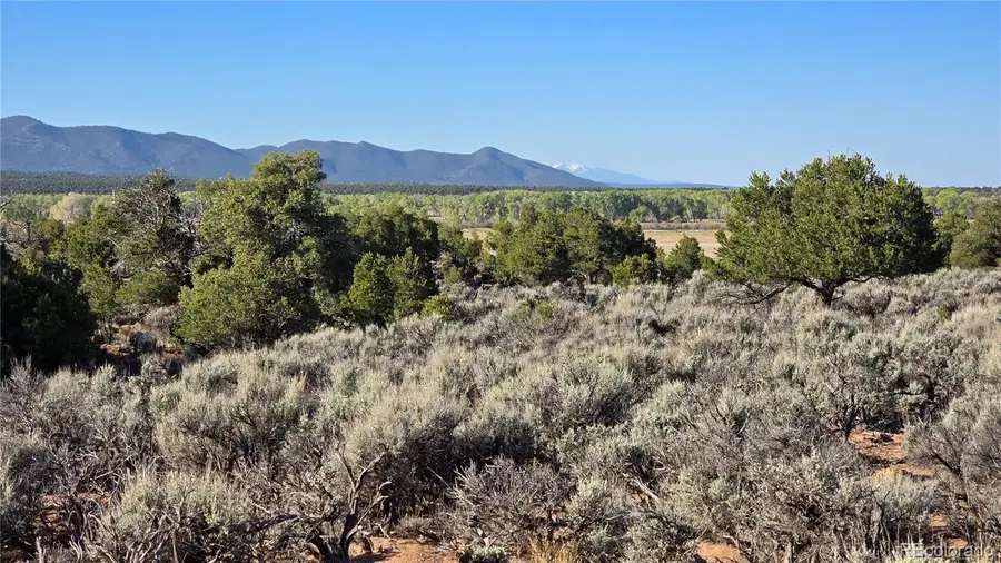 Lot 3715 Hartgrave Road, Fort Garland, CO 81133 - #3