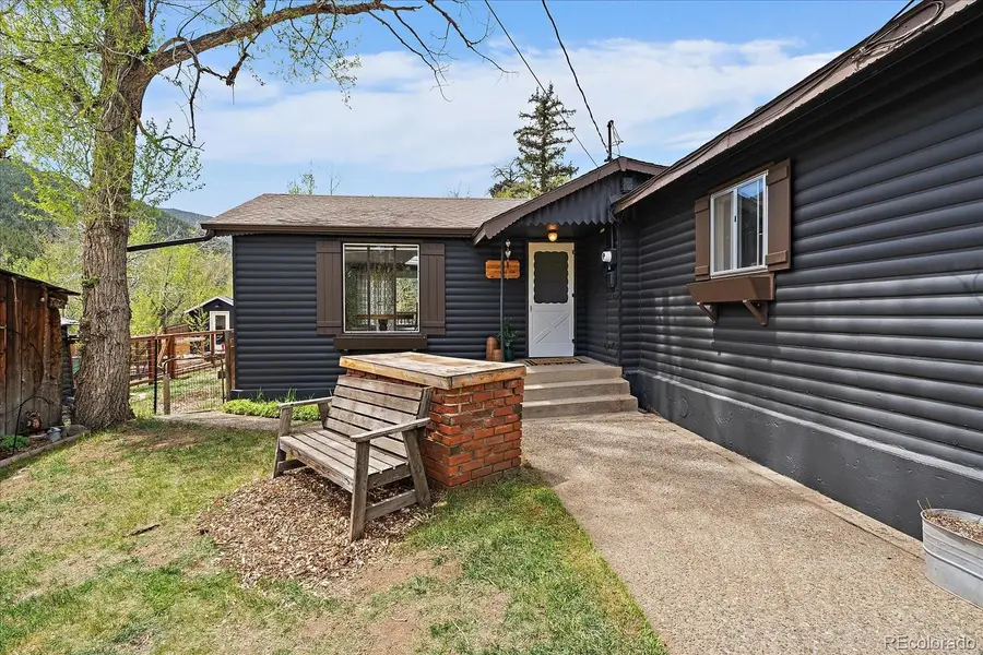 99 Mill Creek Road, Dumont, CO 80436 - #3