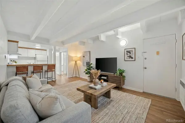 655 N Pearl Street #205, Denver, CO 80203