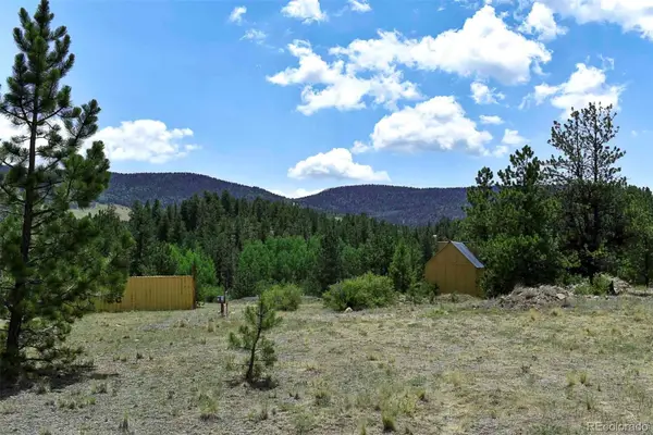 376 Copeland Road, Guffey, CO 80820