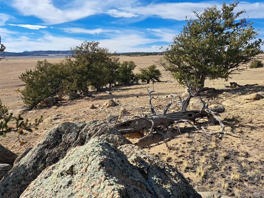 1282 Ute Trace, Hartsel, CO 80449 - Image #3