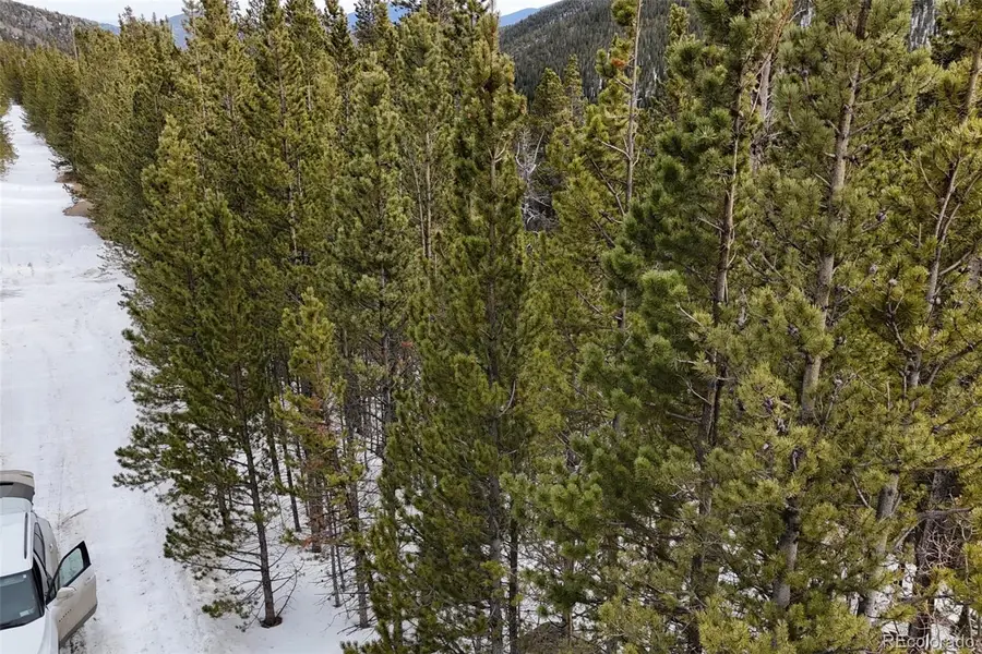649 Vista Road, Idaho Springs, CO 80452 - #2