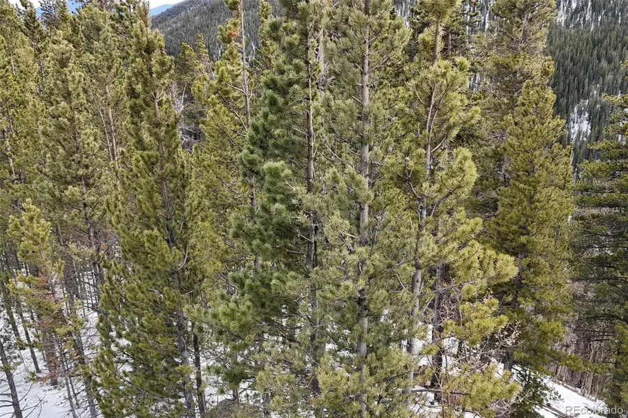 649 Vista Road, Idaho Springs, CO 80452 - #3