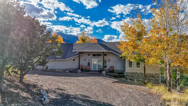 12857 County Road 261k, Nathrop, CO 81236